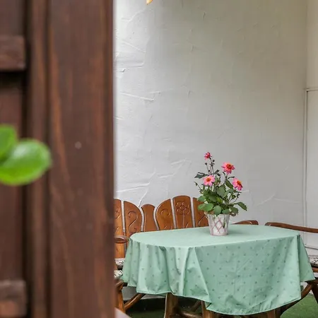 Enzian Apartment *